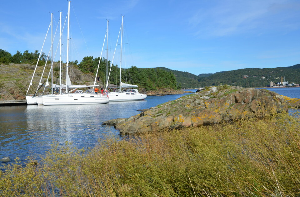 NATURHAVN: På Ramsvikholmen utenfor Tofte er det tilrettelagt for fritidsbåter.