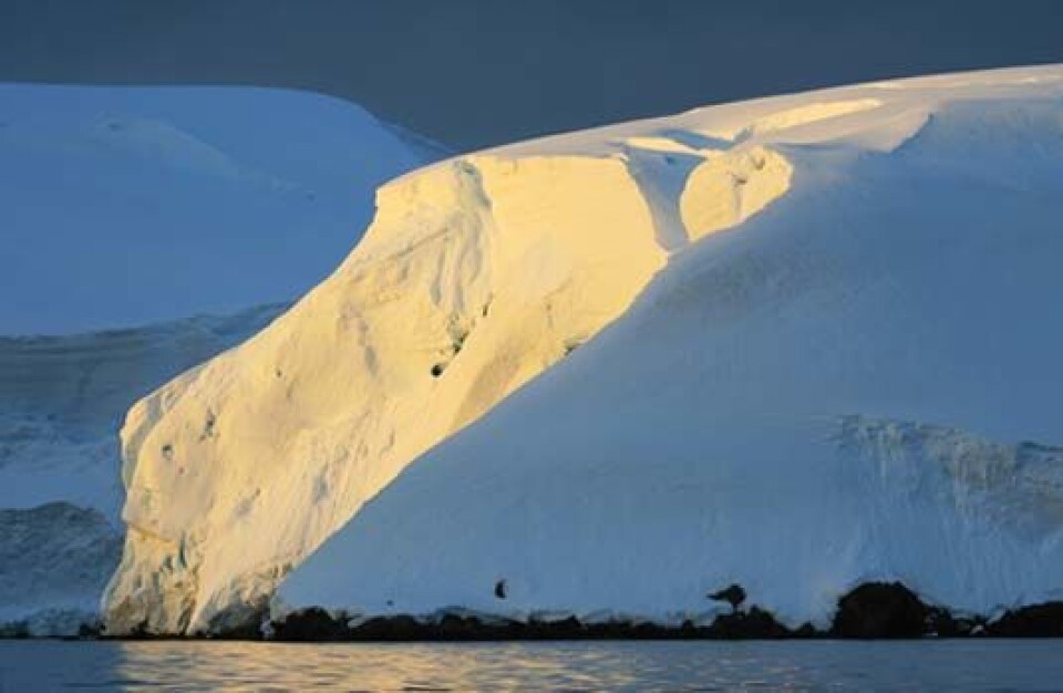 Værfaste ved Nansen Island