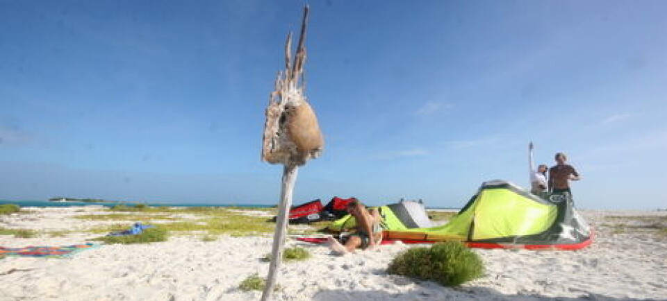Kite vs Vindsurf