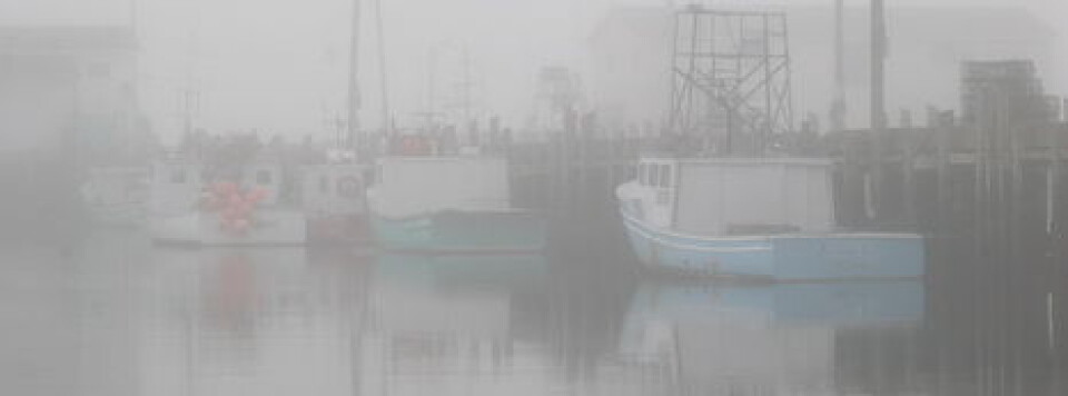 Oppover Nova Scotia-kysten