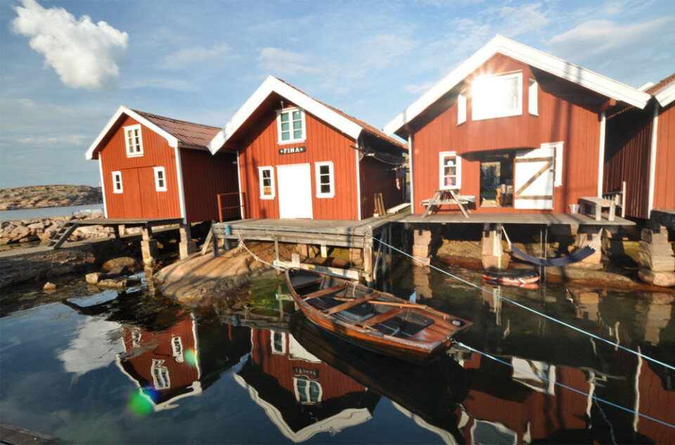 En sjelden perle
