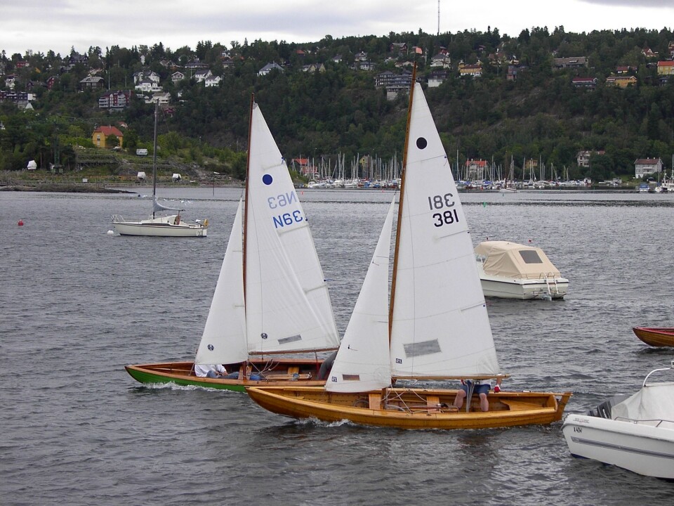 Oslojollen lever i beste velgående