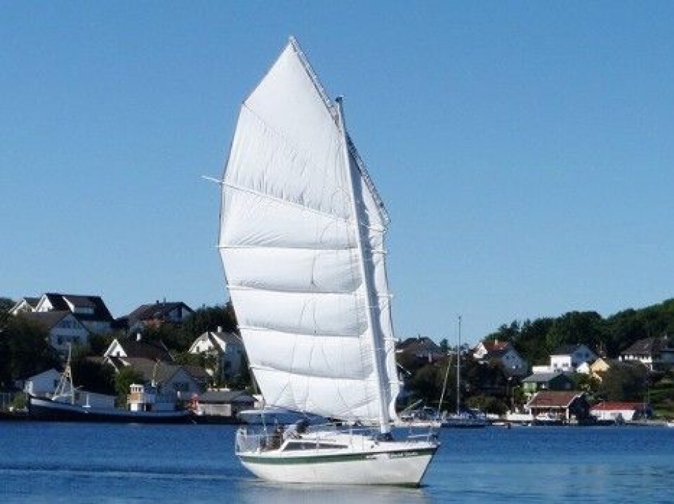 Prosjekter for vinteren