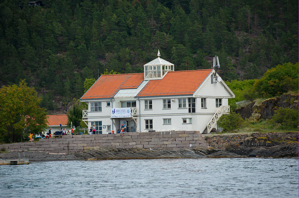 Avslutningenes regatta