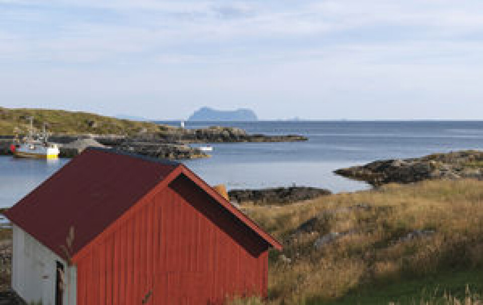 UTSIKT MOT ALDEN: Ta turen over broen til Rognsøya, midt mellom de to havnene. Herfra er det god utsikt, blant annet mot Alden ? Norskehesten. UTSIKT MOT ALDEN: Ta turen over broen til Rognsøya, midt mellom de to havnene. Herfra er det god utsikt, blant annet mot Alden ? Norskehesten.