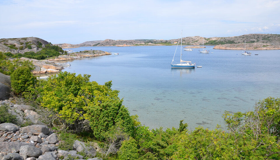Oppholdet ved Dannemark ble turens høydepunkt.