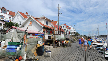 Åstol havn. Åstol havn.
