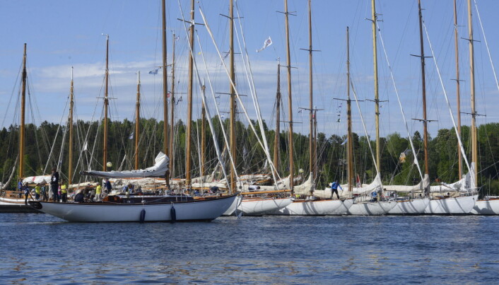 SÆTRE: Trebåtfestivalen i Sætre den første helgen i juni blir trolig større enn i 2015.