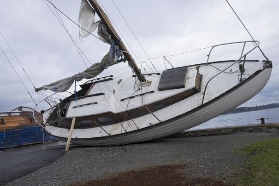 Hvem eier denne – eller vil du ha den?