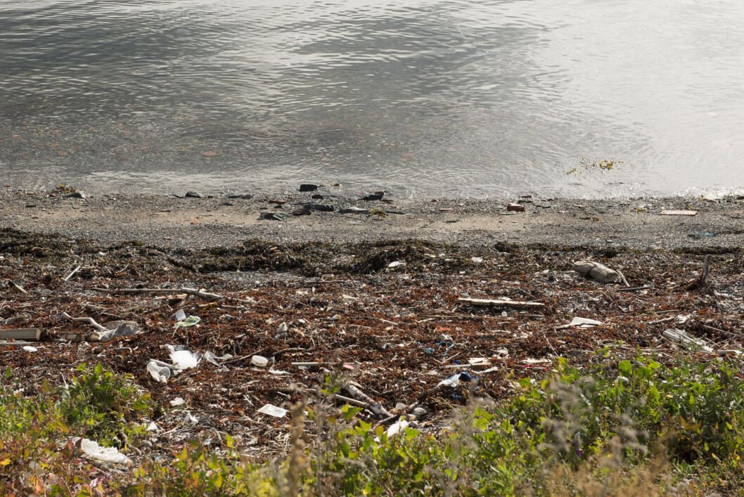 HOLD HAVET RENT: Seilforeningene skal engasjeres for å bidra med å redusere forsøplingen av havet. Nesodden Seilforening har allerede litt å ta av på Steilene. HOLD HAVET RENT: Seilforeningene skal engasjeres for å bidra med å redusere forsøplingen av havet. Nesodden Seilforening har allerede litt å ta av på Steilene.