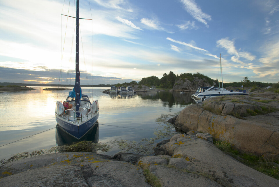 VED LEDEN: Vakersholmen ligger i Tønsbergfjorden rett ved hovedleden, og fra en godt beskyttet plass kan solnedgangene nytes.