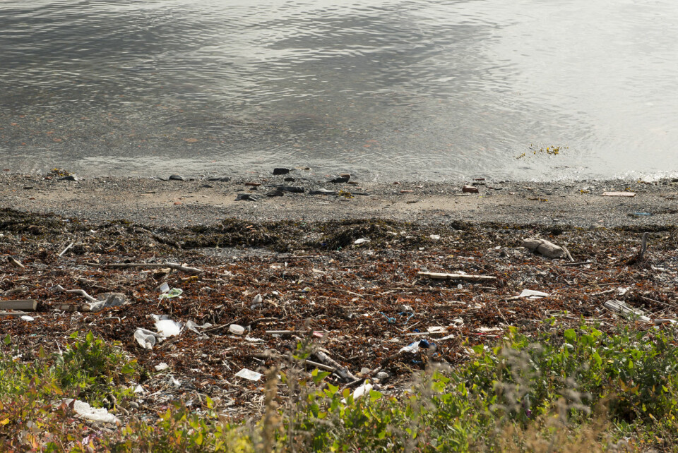 HOLD HAVET RENT: Norges Seilforbund har gjort det lettere å registrere søppelryddingen langs strendene.