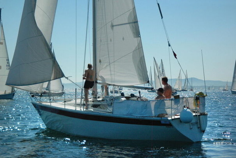 mikkel323