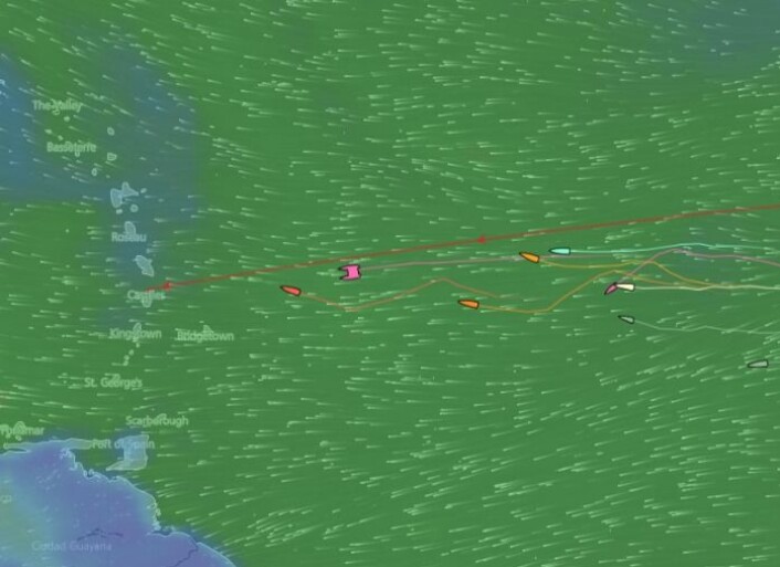NORSKE: De 11 norske ARC+ båtene har nå kommet i mer stabil vind. NORSKE: De 11 norske ARC+ båtene har nå kommet i mer stabil vind.