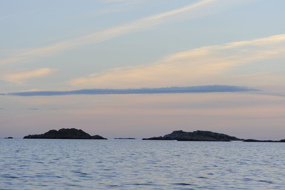 Kjære NSFere