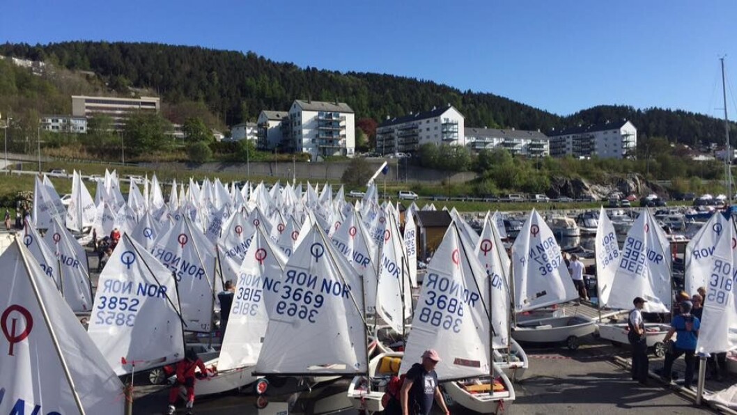 MANGE SEIL: Det var mange seil å se i Ålesund da årets andre norgescup i Optimist og Laser ble avviklet. MANGE SEIL: Det var mange seil å se i Ålesund da årets andre norgescup i Optimist og Laser ble avviklet.