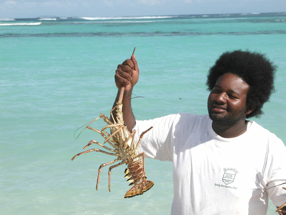 Hummerfisker: Hummerfiske er populært i hele Karibia. Bildet er tatt på Loblolly Bay på Anegada.