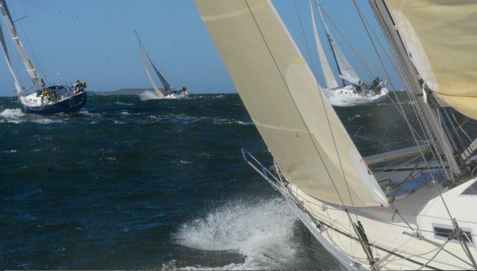 VIND: Den harde vinden fra start har roet seg noe, men båtene seiler fortsatt fort.