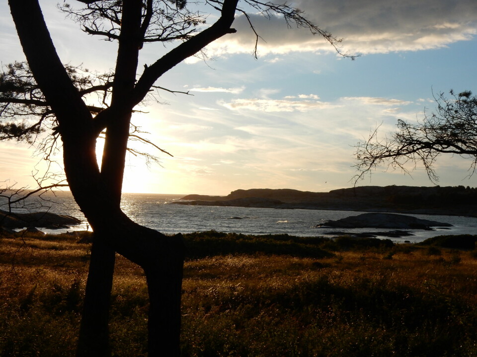 SOLNEDGANG: Fra Nordkoster kan du se solen forsvinne bak Vestfold om sommeren.