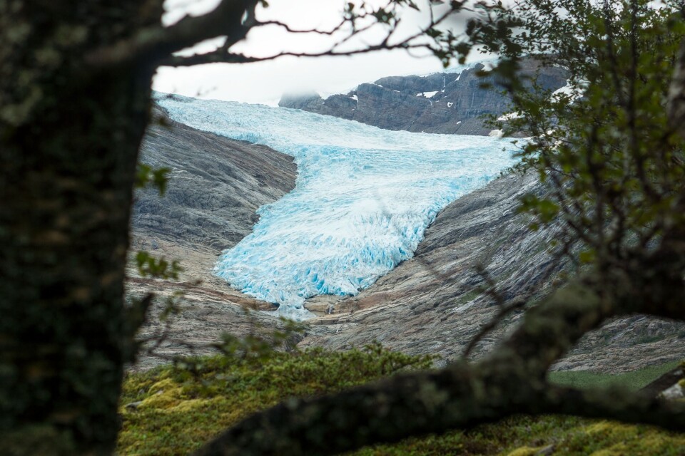 IS. Engabreen i Nordland.