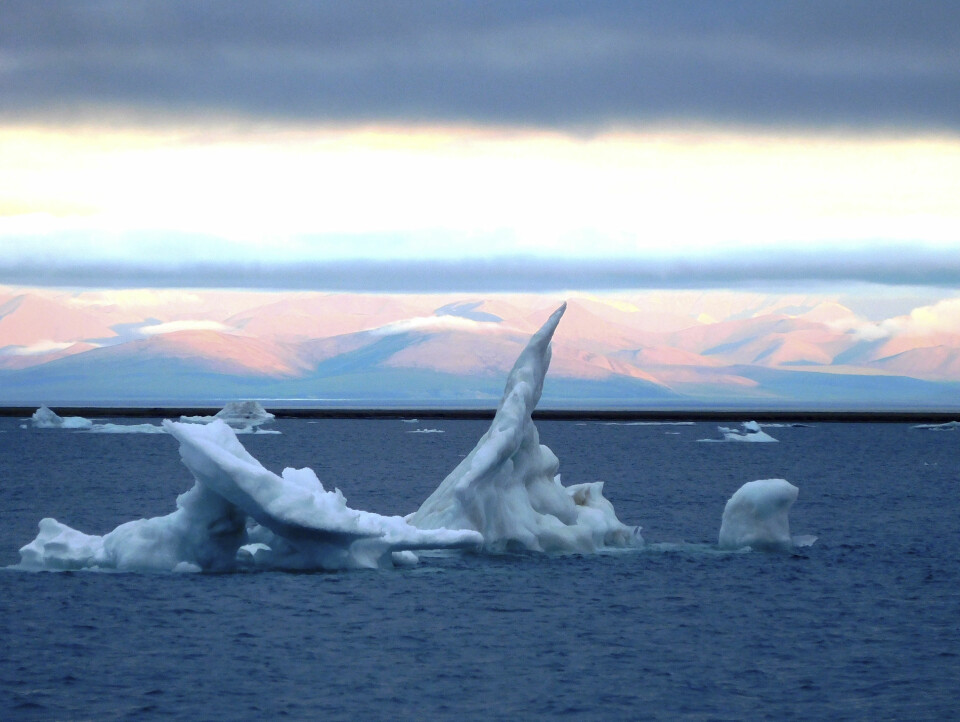 VAKKERT: Lyset, omgivelsene og skulpturene isfjellene danner gjør en seilas gjennom Nordvestpassasjen til en opplevelse.