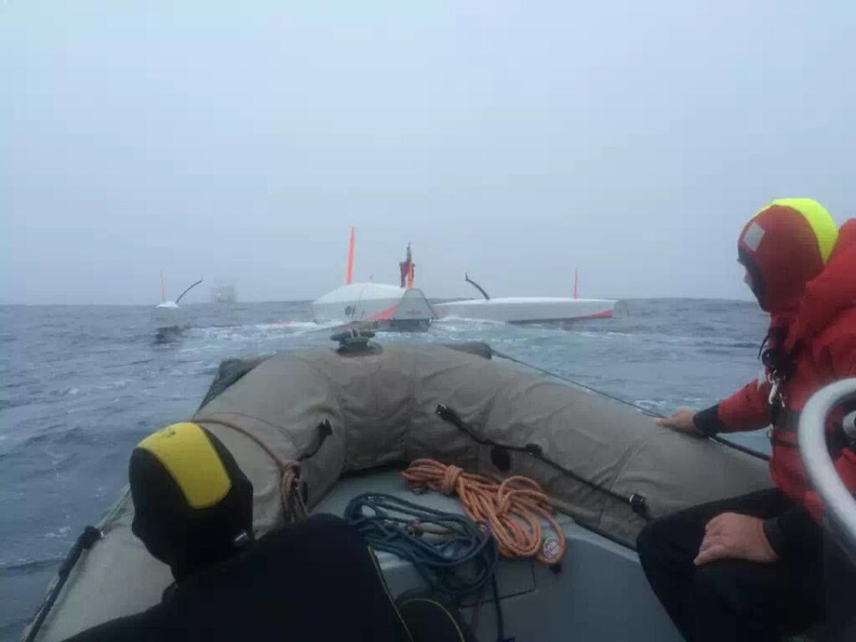 Opprydding på havet