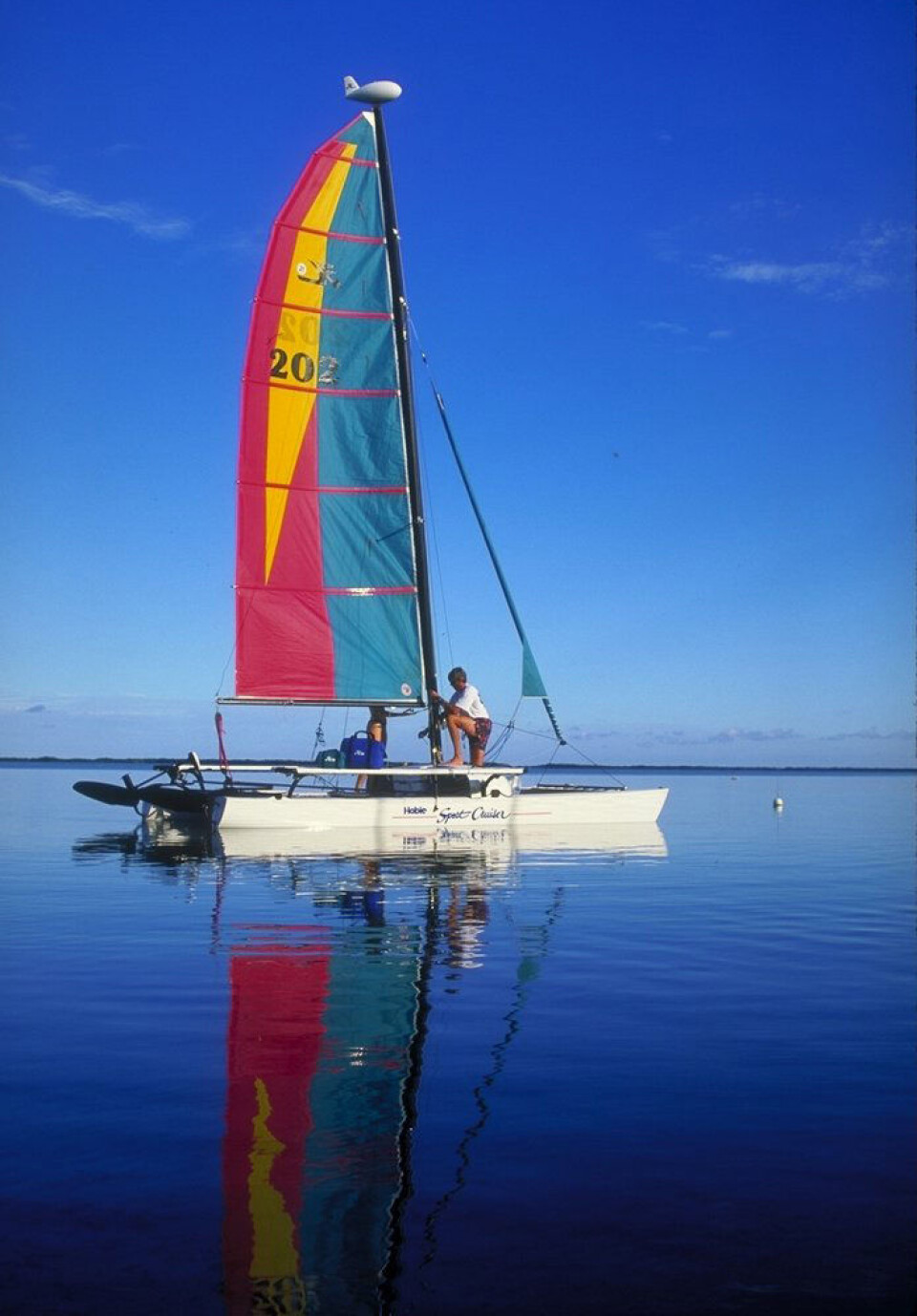 Hobiecat i Færdern