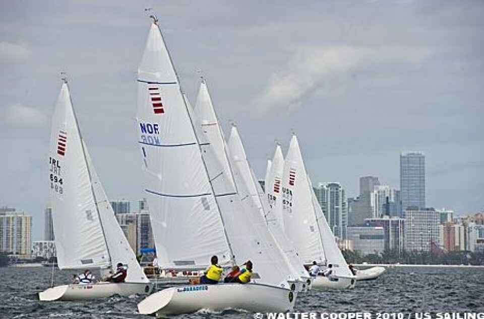 Sonargull i Miami