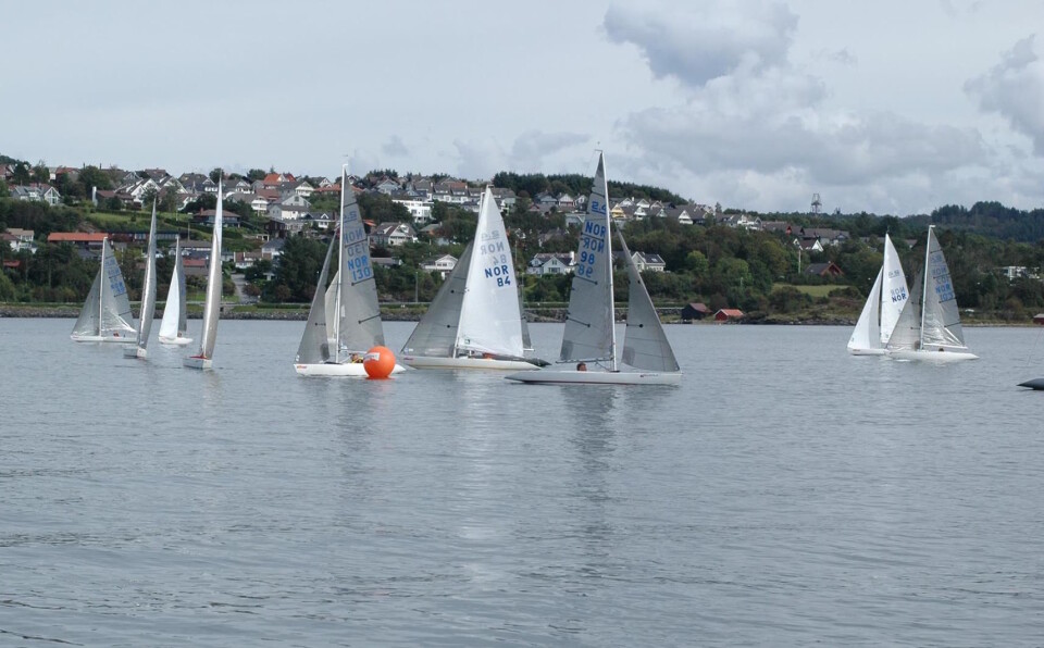 Harald Rolfsnes Norgesmester i 2.4mR