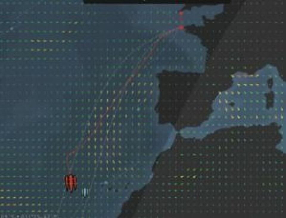 30KNOP: «IDEC» er på breddegrad med Kanariøyene, og vil i løpet av dagen seile seg foran rekordskjemaet til Peyron.