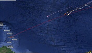 HALVEIS. Fire av More 55 båtene seiler samlet inn mot St. Lucia. HALVEIS. Fire av More 55 båtene seiler samlet inn mot St. Lucia.