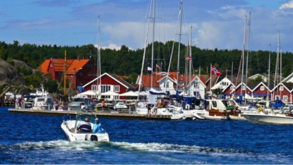sailduck_bilde_04