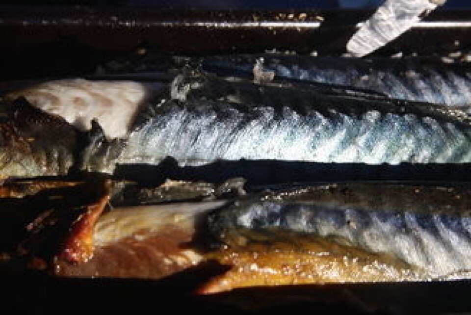 RØKT FISK RØKT FISK