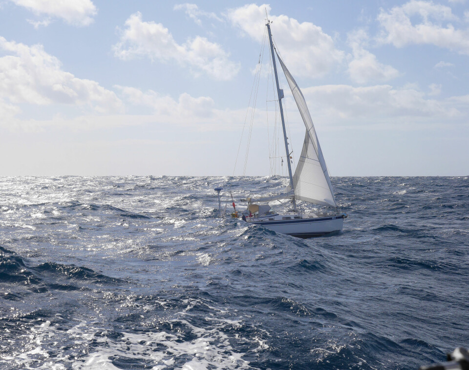 ARC: Inua sailer i Atlanterhavsdønning, noen dager etter starten fra Gran Canaria.