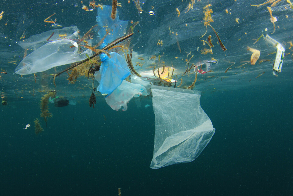 FYLLES OPP: Havet fylles opp av plast og estimatene går ut på at dersom vi fortsetter som vi stevner, vil det være mer plast i havet enn det er fisk. Forbruket av plast må reduseres.