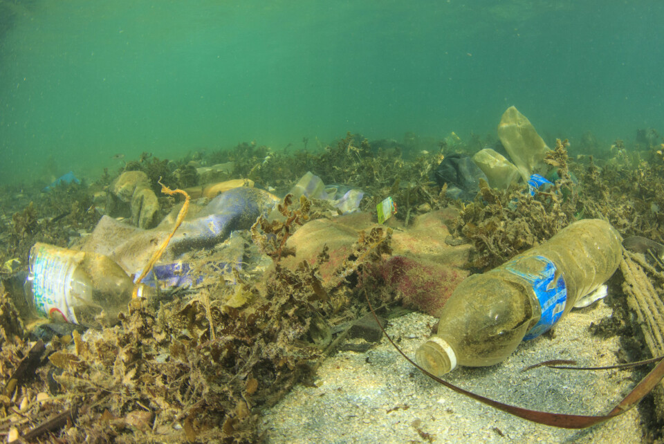 PÅ BUNNEN: 70 prosent av alt marint avfall havner til slutt på havbunnen. 15 prosent flyter rundt, mens 15 prosent ender opp på strendene.