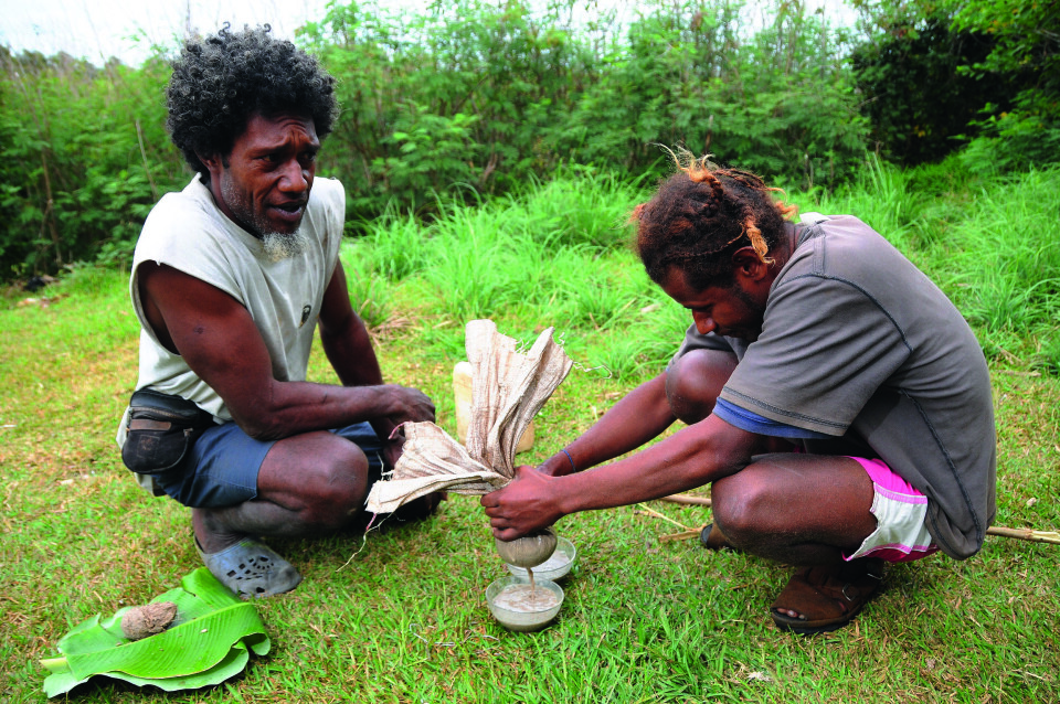 KAVA: Clifton og Sam brygger det bedøvende brygget kava. Kavaen på øyene i Vanuatu har ord på seg for å være ekstra sterk. KAVA: Clifton og Sam brygger det bedøvende brygget kava. Kavaen på øyene i Vanuatu har ord på seg for å være ekstra sterk.