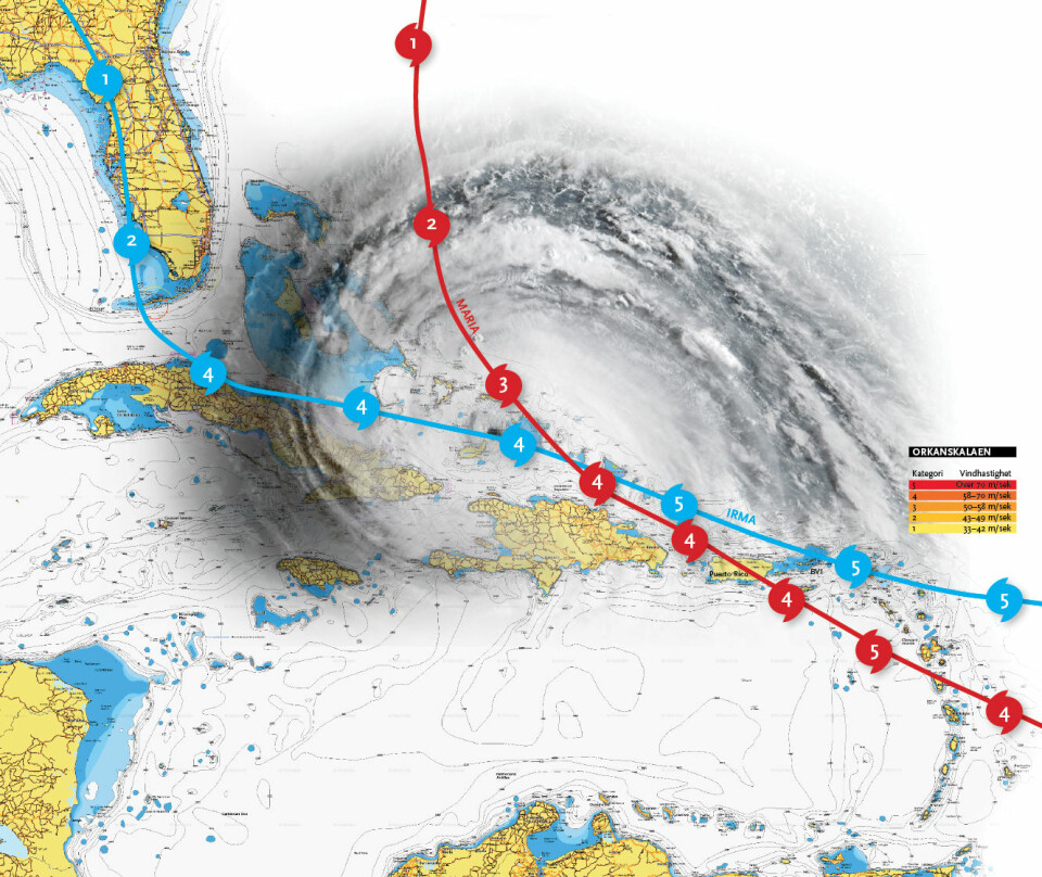 IRMA OG MARIA: Orkanenes rute gjennom Karibia.