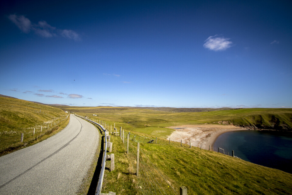 GOLDT: Typisk Shetlandsk landskap. Ingen trær, men likevel grønt og fint.