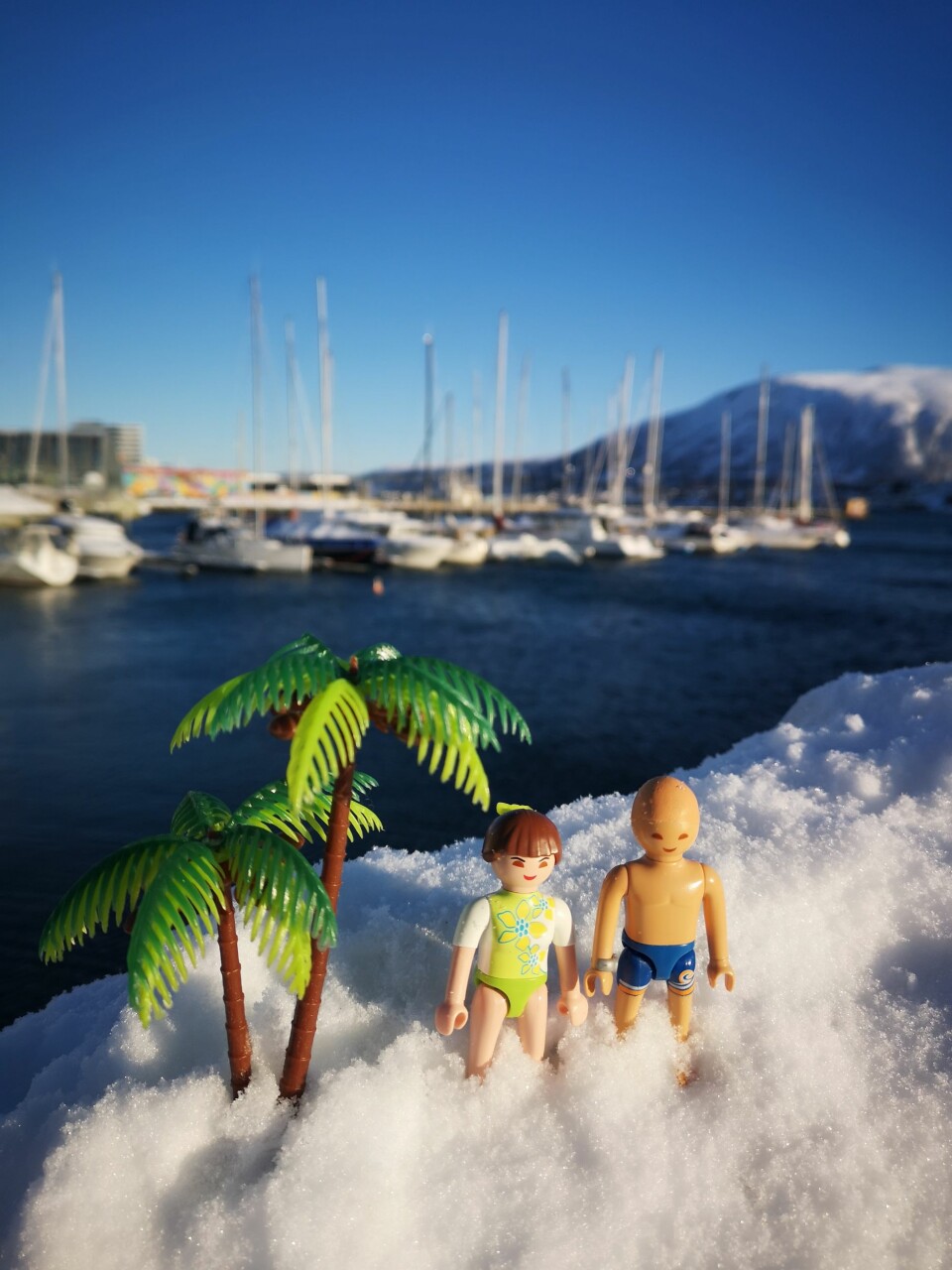 SOL: Fra polarhavna i Tromsø til palmer og hvite strender i Karibia.