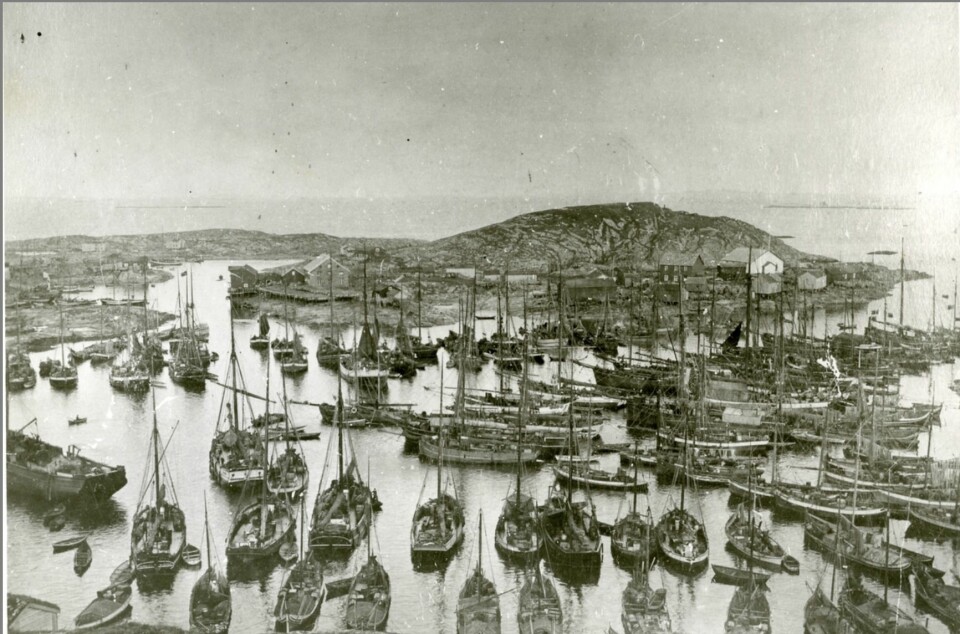 FULLT: Båtene lå tett i tett på Sør-Gjæslingan når skreien hadde meldt sin ankomst ute på Folda.