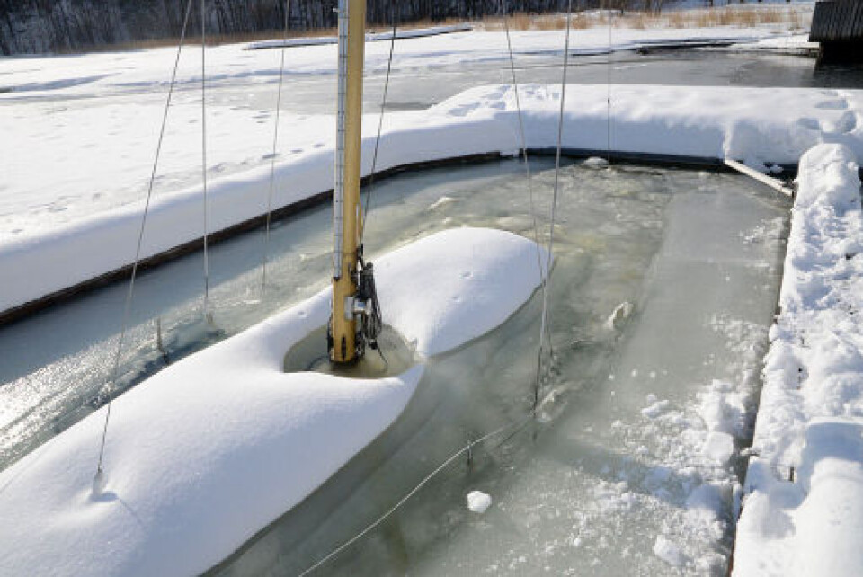 En snøbyge for mye