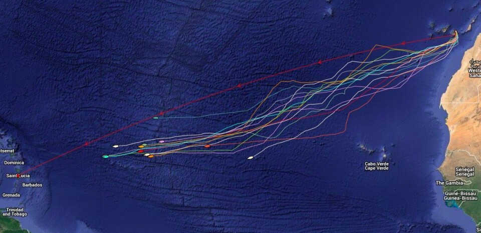 NORSKE: Kartet viser de norske ARC-deltagernes plassering 6. desember. Båtene i tet har 420 nm igjen, mens den bakerste har 1314 nm.