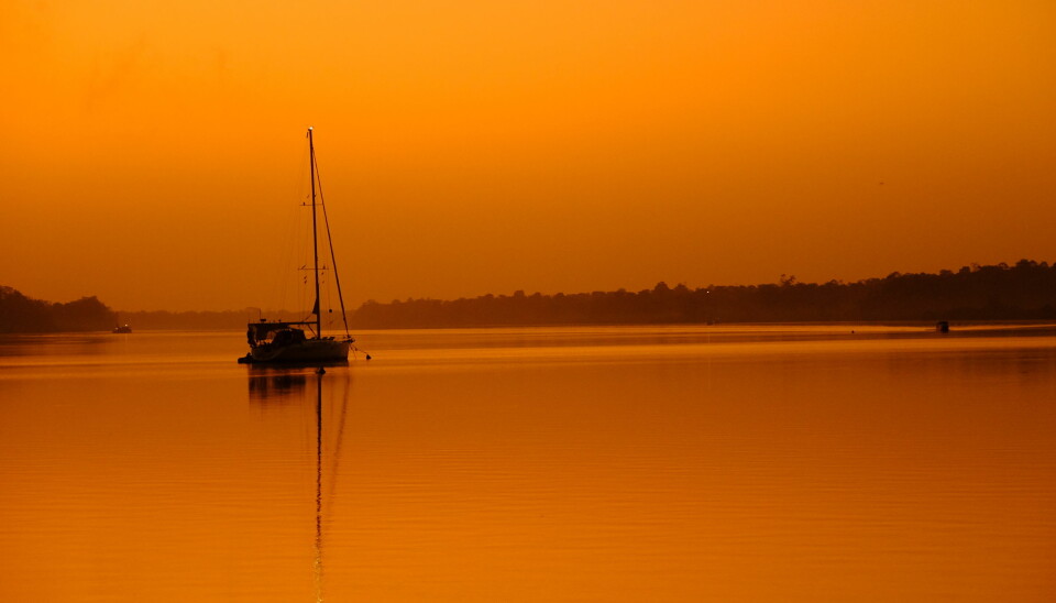 Solnedgang over Paramariboelva, fra vår «utsiktstomt» i to ukers karantene her i Suriname.