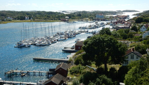 Koster er Sveriges første marine nasjonalpark