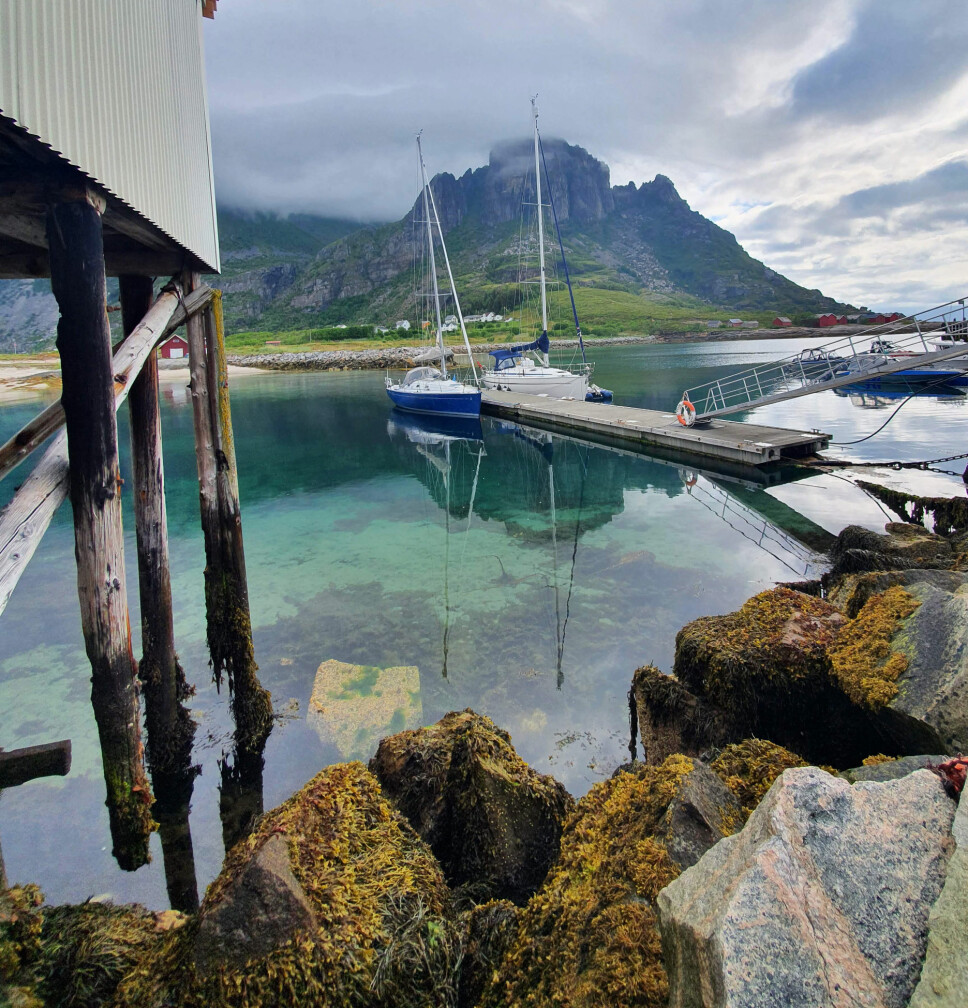 RESERVAT: Sørfugløy ligger ca 20 nautiske mil sørvest for Bodø. Fjellene skyter 765 meter opp av havet, og øya er naturreservat.
