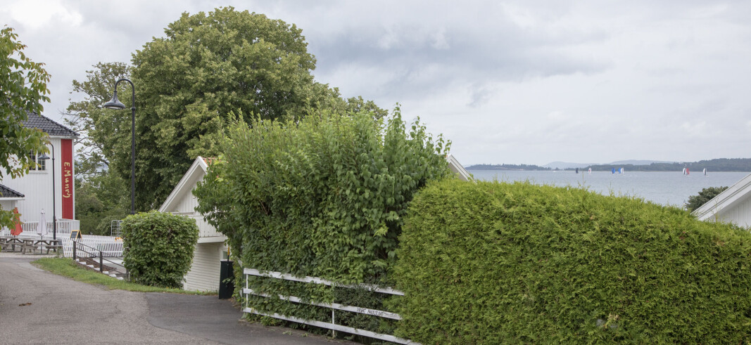 MUNCH: Feltet synlig fra det gamle rådhuset i Åsgårdstrand MUNCH: Feltet synlig fra det gamle rådhuset i Åsgårdstrand