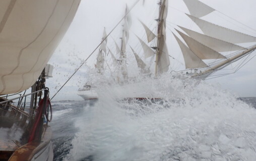 Norsk seier i Tall Ships Race