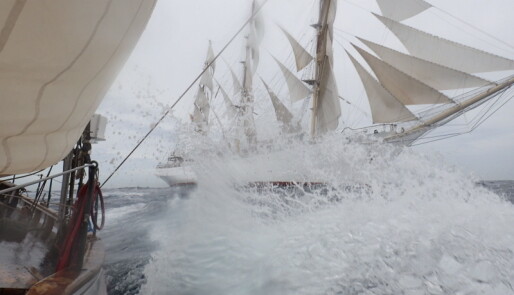 Norsk seier i Tall Ships Race