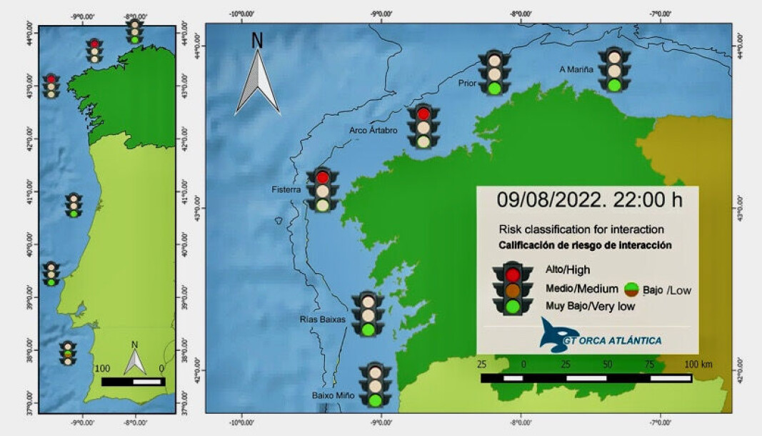 Kart med sannsynlighet for å møte på spekkhoggere Kart med sannsynlighet for å møte på spekkhoggere